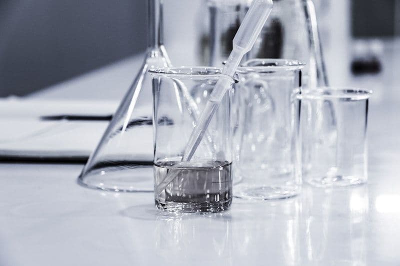 Cellversity Journal